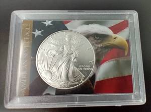 2001 American Silver Eagle