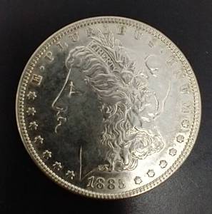 1885 Morgan Dollar