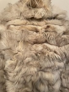 lot 73 image: Fun in Fur