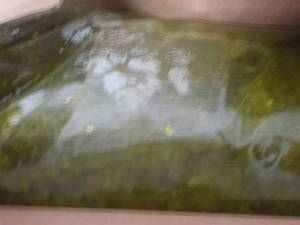 lot 186 image: 2 - 1.5 lb. Gallon Bags Heinz Sweet...