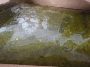 lot 189 image: 2 - 1.5 lb. Gallon Bags Heinz Sweet...