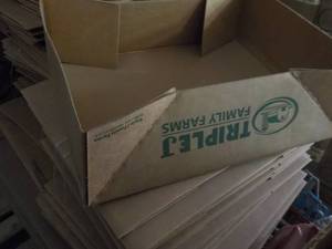 lot 243 image: 100 Open Boxes...
