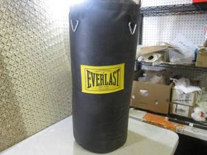 lot 177 image: (FS) Everlast Punching Bag...