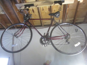 lot 86 image: Free Spirit 12spd Bicycle