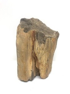 lot 136 image: Large Heavy Chunk of Petrified Wood