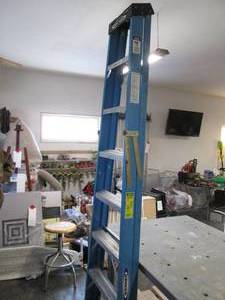 lot 98 image: 8 Werner Ladder (250# Capacity)...