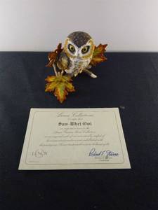 Lenox Saw-Whet Owl