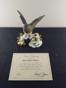 Lenox Dark-Eyed Junco