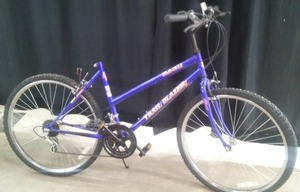 lot 123 image: TRAIL BLAZER BIKE