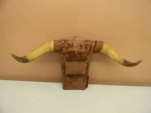 lot 42 image: AWESOME - Vintage Steer Horn Mount, Cow, Bull Taxidermy WHorns - READY TO HANG IN THE CAVE - SEE PICTURES