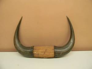 lot 44 image: Vintage Steer Horn Mount, Cow, Bull Taxidermy WHorns - READY TO HANG IN THE CAVE - SEE PICTURES