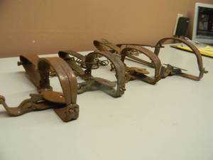 lot 48 image: VINTAGE 1 ONEIDA VICTOR 1 12 INCH TRAP - 3 ONEIDA VICTOR TRAPS - SEE PICTURES