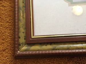 Julio Grainer Floral Framed Art