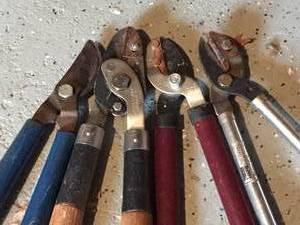 Pruners Lot