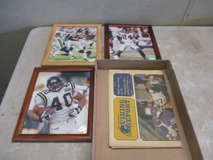 Vikings Collectibles