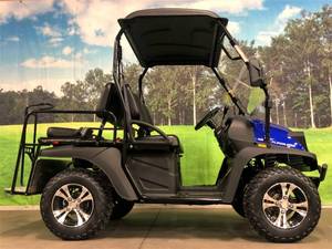lot 1 image: 2020 BLUE BIGHORN SIDE BY SIDE UTV