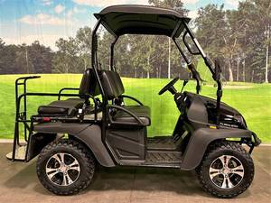 lot 3 image: 2020 BLACK BIGHORN SIDE BY SIDE UTV