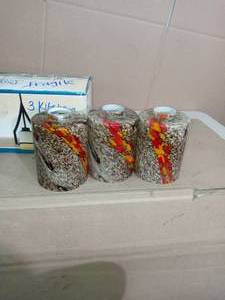 lot 61 image: 6-12 in. Handblown Wildfire Cylinder Shade with 2-14 in. Fitter and 4-34 in. Width by Westinghouse- open box not used