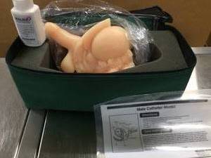 lot 74 image: HEALTH EDCO Male Catheter Model&nbspIdeal for Teaching Proper Catheter Insertion - Great Condition With Carrying Case