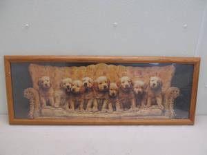 Puppy framed photo