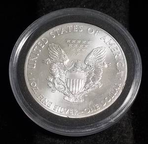 2013 AMERICAN SILVER EAGLE 1 TROY OZ. .999 FINE SILVER IN AIRTITE
