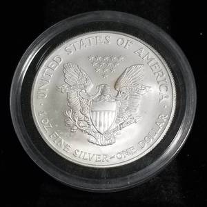 2004 AMERICAN SILVER EAGLE 1 TROY OZ. .999 FINE SILVER IN AIRTITE