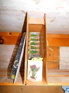 lot 158 image: New Aqua Plants