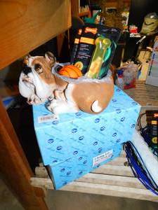 lot 144 image: New Dog Supplies