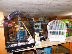 lot 119 image: 3 New Bird Cages  3 New Penn Plax Seed Guards