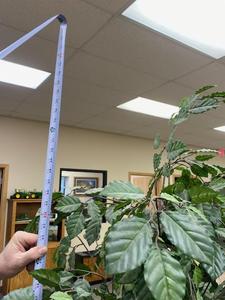 lot 107 image: Faux Decorative Tree