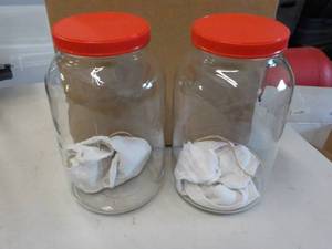 lot 103 image: Set of 2 Glass Gallon Jars with Sea...