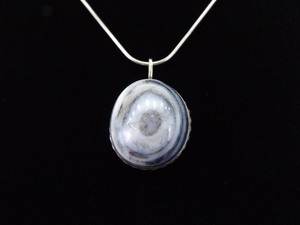 .925 Sterling Silver Polished Shell Cabochon Pendant Necklace