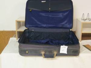 Adolfo Luggage...