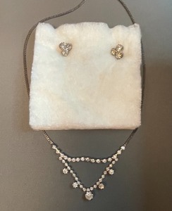 Fashion Necklace & Ear Rings