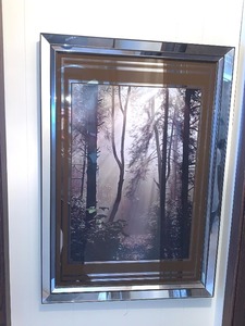 lot 323 image: Forest Framed Art With Mirrored Frame