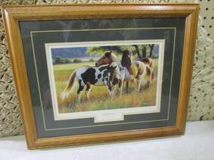 lot 213 image: (RMC) Framed Cynthie Fisher Wild P...