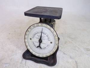 lot 97 image: National Family Scale