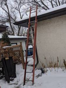 lot 442 image: 20 Extension Ladder