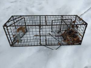 lot 464 image: Live Animal Trap
