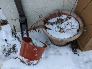 lot 466 image: Pair of Plastic Planters