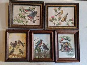 lot 394 image: Five Framed Vintage Bird Prints