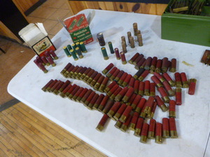 lot 39 image: Lot of 12 Gauge Shot Gun Shells