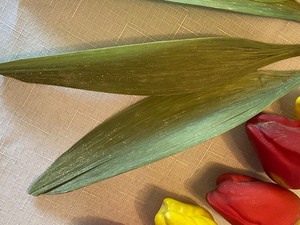 lot 66A image: Nine Glass Spun Tulips w Leaves