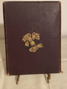 lot 207 image: Antique Book Indian summer 1881