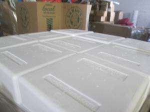 Lot of 9 Styrofoam Coolers  #6 C121...