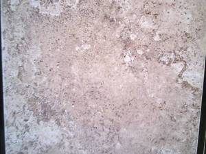 11 Cases Daltile Santa Barbara Paci...
