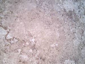 11 Cases Daltile Santa Barbara Paci...
