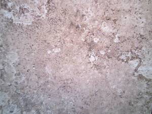 10 Cases Daltile Santa Barbara Paci...