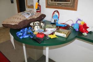 lot 228 image: Lot of Dog Supplies -Animal Planet Orthopedic Memory Foam Bed, Stainless Bowl, Harness, Leash, Pet Hair Lifters, Dog Chain 20, Dog Tie-Out 15, And More