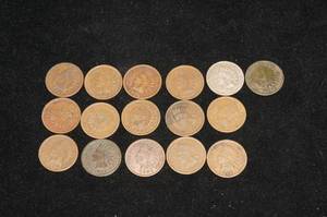 16 Indian Head Pennies
